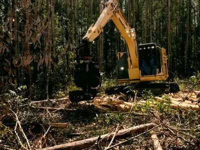 Land Clearing Services Louisville in Louisville